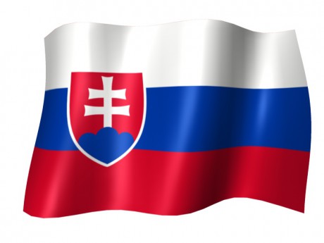 Výsledok vyhľadávania obrázkov pre dopyt slovenská vlajka